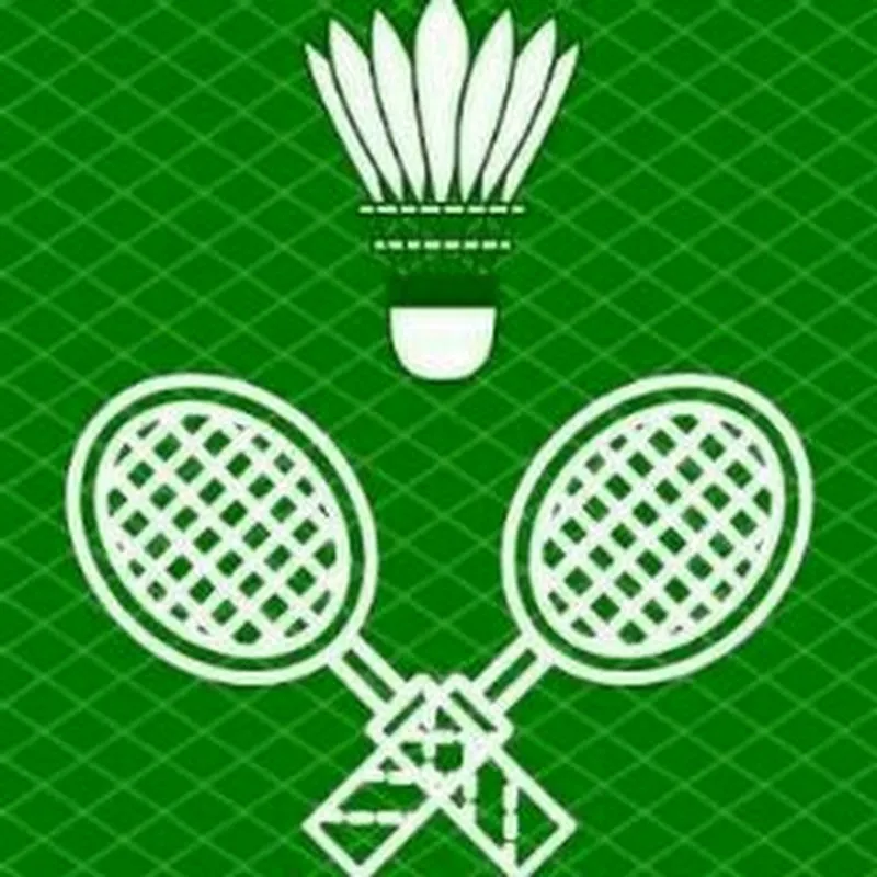 Badminton power Games