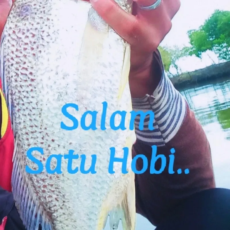 fishing adventure#pertualangan memancing